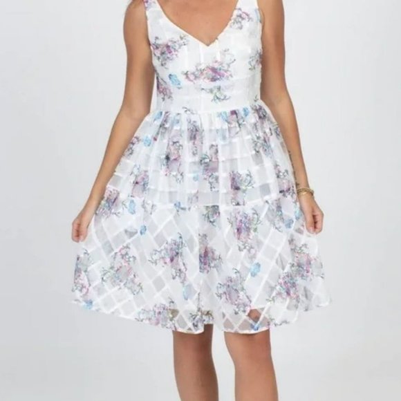 Maeve Dresses & Skirts - Anthropologie Maeve Peony Garden Dress